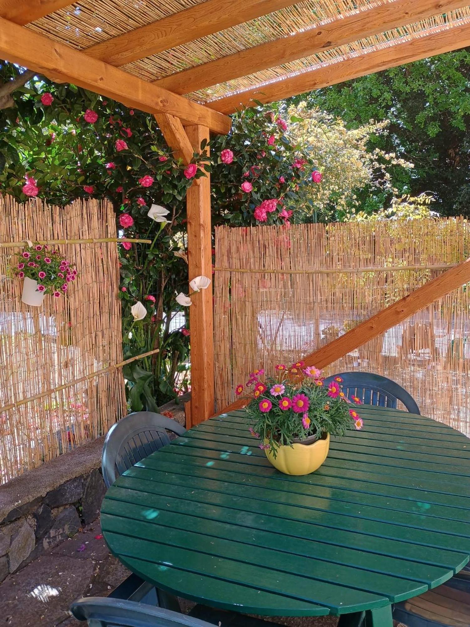 Villa La Casa Dei Due Aranci Albisola Superiore Exterior foto